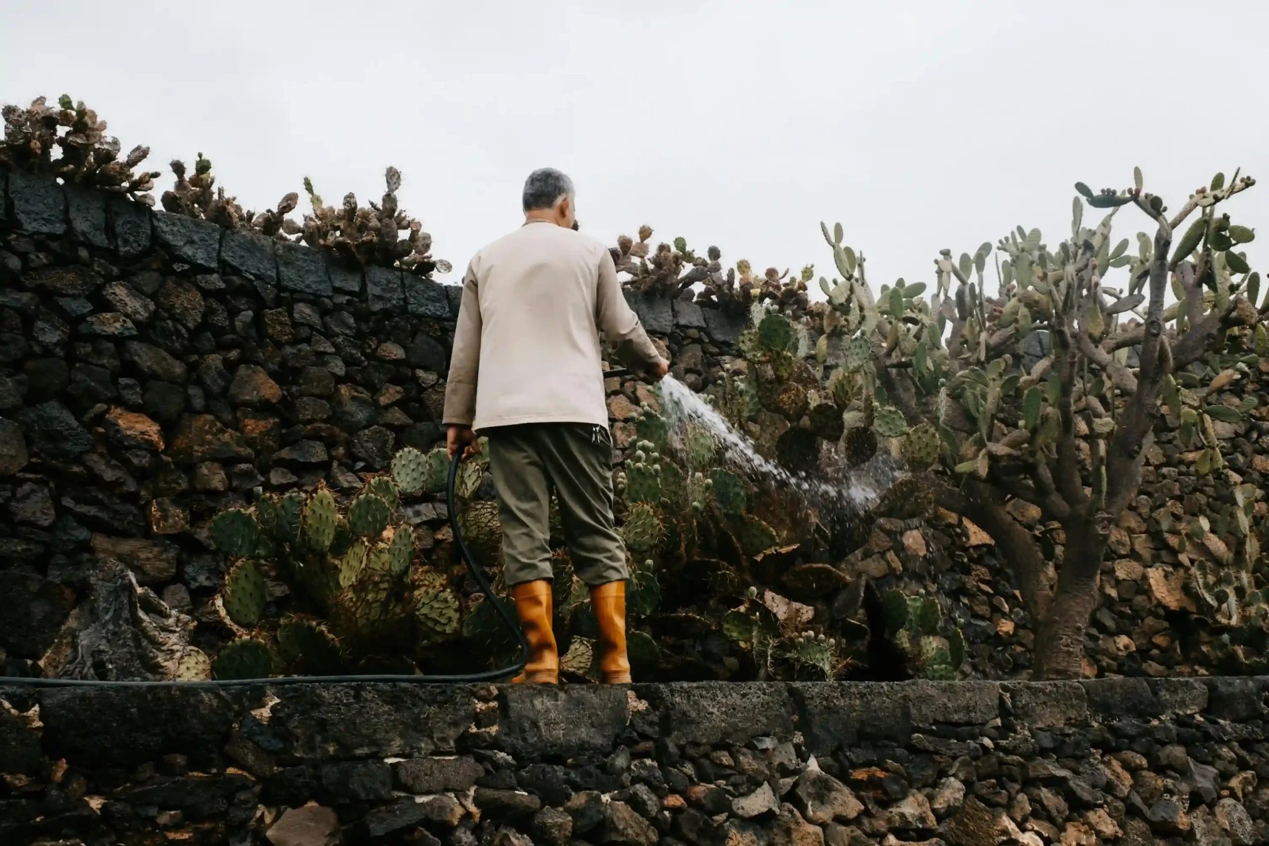 Garten- und Landschaftsbaudienstleistungen